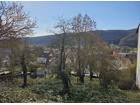 foto anzeige
