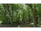foto anzeige