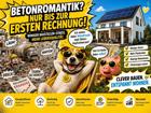 foto anzeige