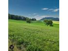 foto anzeige