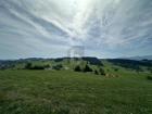 foto anzeige