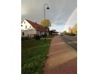 foto anzeige