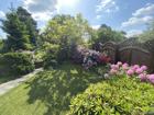 foto anzeige