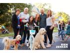 foto anzeige