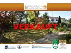 foto anzeige