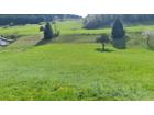 foto anzeige