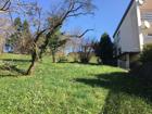 foto anzeige