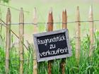 foto anzeige