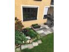 foto anzeige