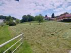 foto anzeige