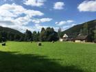 foto anzeige