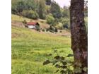 foto anzeige