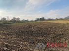 foto anzeige
