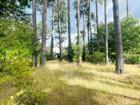 foto anzeige