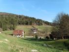 foto anzeige