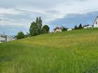 foto anzeige