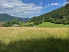 foto anzeige