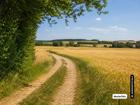 foto anzeige