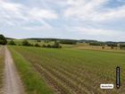 foto anzeige