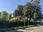 foto anzeige