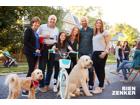 foto anzeige