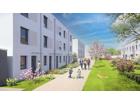 foto anzeige