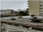 foto anzeige
