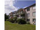 21 Neunkirch Immobilien Alleskralle