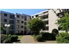 61 Haus Miete Bergheim Immobilien Alleskralle Com