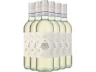 2025 Cipriano Pinot Grigio im 6er-Vorratspaket