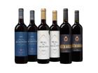 Passioniertes Spanien Paket - die Weinbörse