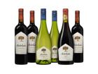 Arboleda Weinpaket - die Weinbörse