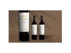 Mas Vilella Negre 2022 2.25L 15.5% Vol. Weinpaket aus Spanien