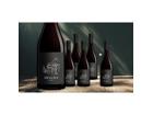 MESA/9.9 Syrah 5+1 4.5L 14.5% Vol. Weinpaket aus Spanien