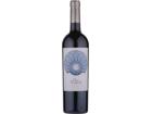 Elvi Clos Mesorah 2022