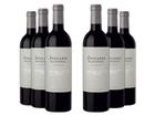 Zuccardi : Aluvional Los Chacayes Malbec 2020