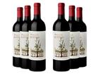 Zuccardi : Finca Los Membrillos Cabernet Sauvignon 2020