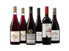 Leicht gekühltes Rotweinpaket - die Weinbörse