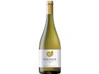 Patoinos Assyrtiko PGI - 75cl, Griechenland