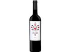 Meritxell Pallejà Priorat DOQ Nita - 150cl - Katalonien, Spanien