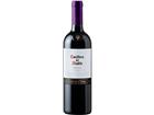 Concha y Toro Merlot Casillero del Diablo - 75cl - Valle Central, Chile