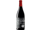 Martín Códax Pizarras de Otero Bierzo DO - 75cl - Duero-Tal (Castilla y Leon), Spanien