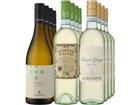 12er-Probierpaket »Italienische Frische«
