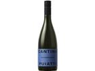 Puiatti Sauvignon, Friuli DOP, Friaul, 2024, Weißwein