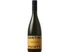 Puiatti Ribolla Gialla, Venezia Giulia IGP, Venetien, 2024, Weißwein
