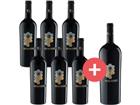 6er-Paket Torre Quadris Primitivo + GRATIS Magnum - Weinpakete