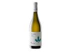 Pecorino Terre di Chieti IGP 2024