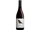 Viña Zorzal Garnacha 2024 0.75L 13.5% Vol. Rotwein Trocken aus Spanien
