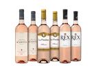Rosé all day Weinpaket - die Weinbörse