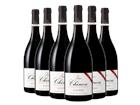 Chinon Rouge - Le Futreau Vieilles Vignes 2019 - Loire Propriétés - Offre 5 + 1
